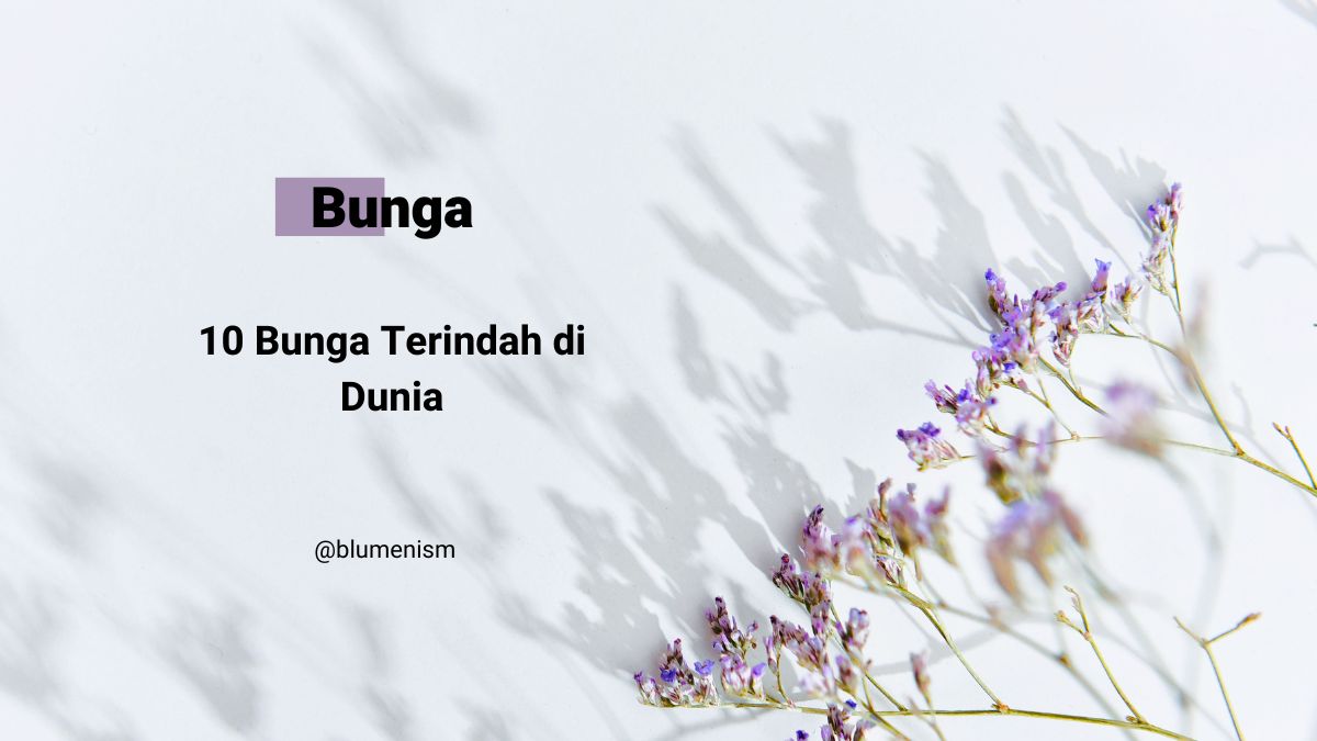 10 Bunga Terindah yang Mengagumkan